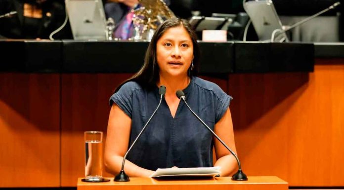 La justicia no puede detenerse: Celeste Ascencio Ortega