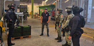 Continúa operativo contra extorsión a limoneros en Tierra Caliente: SSP