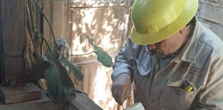 Arrancó jornada intensiva de saneamiento contra el dengue en Tacámbaro: SSM
