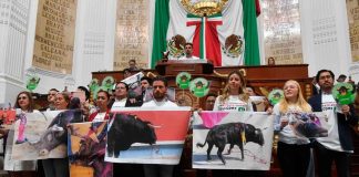 #Video | Congreso de la CDMX aprueba iniciativa de corridas de toros sin violencia