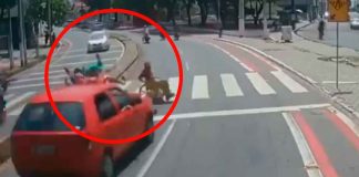 #VIDEO | Motociclistas y un hombre en silla de ruedas son arrollados a toda velocidad