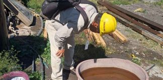 Más de 190 mil acciones contra el dengue durante 2025: SSM