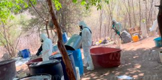 Fuerte golpe a la delincuencia; autoridades desmantelan mega laboratorio en Tierra Caliente