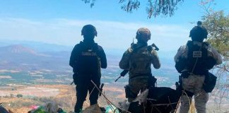 #Imágenes | Destruyen dos campamentos de la delincuencia organizada en Parácuaro