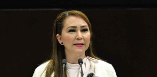 Proponen reformas para garantizar acceso de personas con discapacidad a playas nacionales