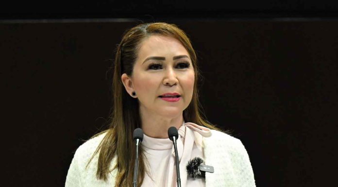 Proponen reformas para garantizar acceso de personas con discapacidad a playas nacionales