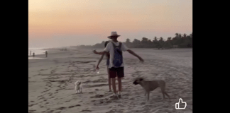 #VIDEO | Captan a extranjera agrediendo a un perrito y a un hombre en playas de Oaxaca