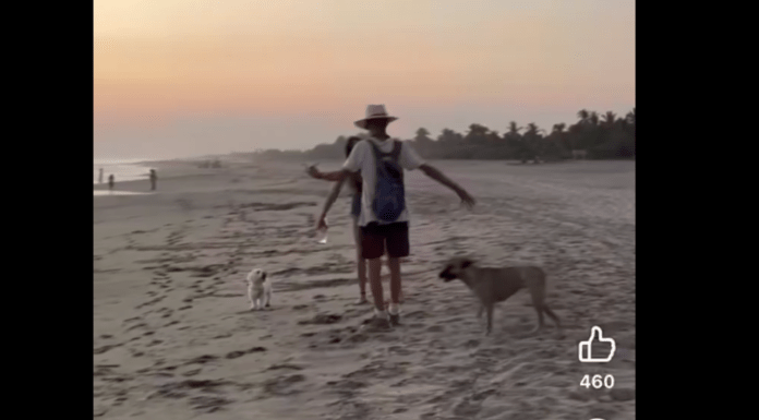 #VIDEO | Captan a extranjera agrediendo a un perrito y a un hombre en playas de Oaxaca