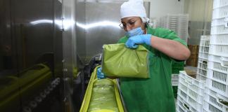 Mujeres alcanzan equidad histórica en la participación de la economía local