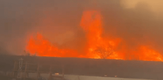 #VIDEOS | Se registra mega incendio en Nuevo León; decenas de trabajadores fueron evacuados de la planta Vitro