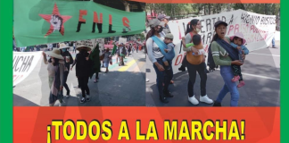 Integrantes del FNLS, marcharán este 8M en Morelia
