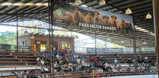 #VIDEOS #FOTOS | Con gran éxito concluye la segunda edición de la Expo Agroindustrial, Tecnológica, Ganadera y Alimentaria 2025