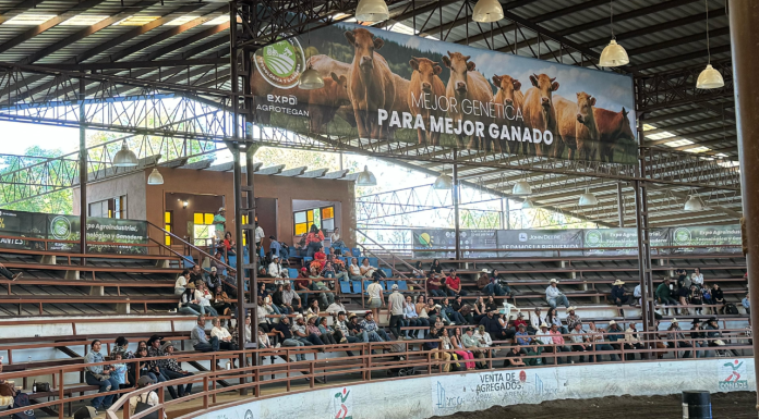 #VIDEOS #FOTOS | Con gran éxito concluye la segunda edición de la Expo Agroindustrial, Tecnológica, Ganadera y Alimentaria 2025