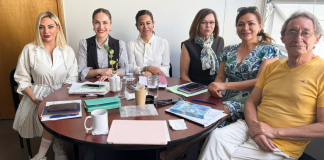 Impulsan producción y comercialización de la lenteja michoacana con alianza estratégica