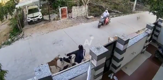 #VIDEO | Joven es atacada y arrastrada por una jauría de perros