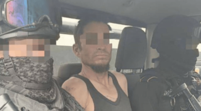 #ÚltimaHora | Detienen a hombre que maltrató y mató un tlacuache en Monterrey