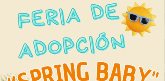 Instituto Moreliano de Protección Animal realizará feria de adopción “Spring Baby”
