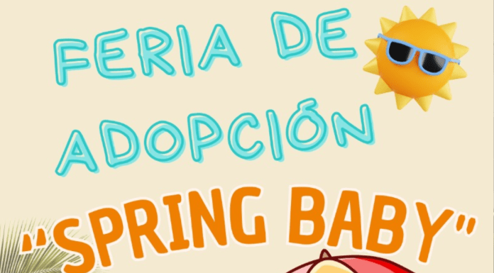 Instituto Moreliano de Protección Animal realizará feria de adopción “Spring Baby”