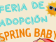 Instituto Moreliano de Protección Animal realizará feria de adopción “Spring Baby”