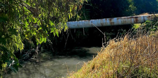 Localizan cadáver baleado en río de aguas negras al oriente de Morelia