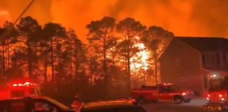 #VIDEO | Bomberos luchan contra incendios forestales en Estados Unidos