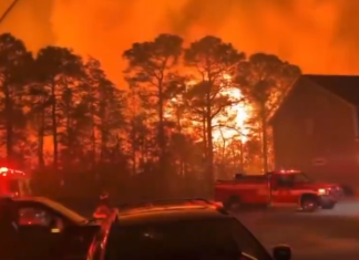 #VIDEO | Bomberos luchan contra incendios forestales en Estados Unidos