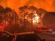 #VIDEO | Bomberos luchan contra incendios forestales en Estados Unidos