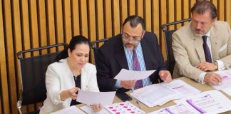 Asigna INE candidaturas a cargos por Distrito Judicial Electoral, según especialidad o materia, mediante un procedimiento