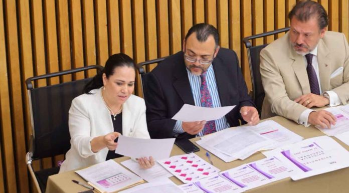 Asigna INE candidaturas a cargos por Distrito Judicial Electoral, según especialidad o materia, mediante un procedimiento