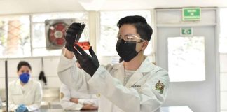 ¿Eres estudiante de la UMSNH y te gustaría realizar una estancia de investigación?, participa en el Programa Delfín