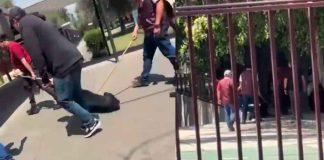 #VIDEO | Se viraliza el video de empleados del IPN maltratando a un perro #México