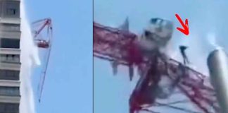 #VIDEO | Operador de grúa cae al vacío desde un rascacielos en Bangkok durante terremoto