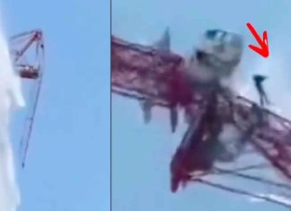 #VIDEO | Operador de grúa cae al vacío desde un rascacielos en Bangkok durante terremoto