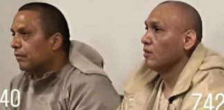 Hermanos Treviño Morales ante la justicia en EE.UU.: niegan cargos y podrían enfrentar la pena de muerte