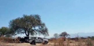 #VIDEO | Localizan a hombre asesinado en baldío de Ampliación La Aldea, Morelia