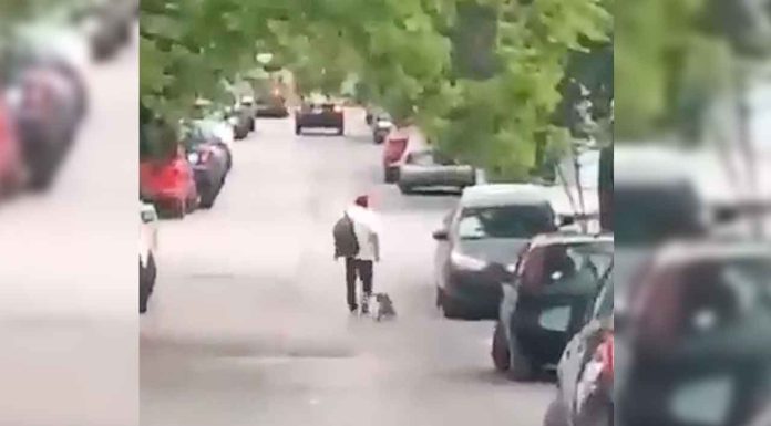 #Video | Sujeto fue captado arrastrando a un perrito por varios metros #México