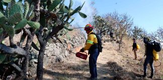#VIDEO #Imágenes | Guardia Civil se capacita para combatir incendios forestales: SSP
