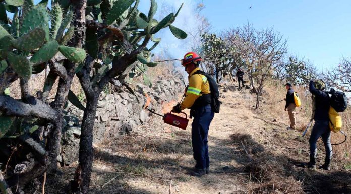 #VIDEO #Imágenes | Guardia Civil se capacita para combatir incendios forestales: SSP