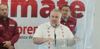 Sólo estamos dando el abanico de perfiles que podrían competir para un puesto y no a quien debemos imponer: Morena