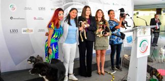 Celeste Ascencio: “Justicia para los animales”