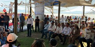 #Imágenes | Con la liberación de 20 mil acumuras, se busca repoblar al lago de Pátzcuaro