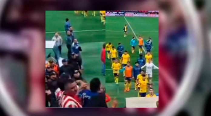 #Video | Revelan el rostro del aficionado que hirió a Kevin Álvarez con una botella de vidrio en el Clásico Nacional