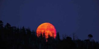 Eclipse lunar total o Luna de Sangre será visible en México el 14 de marzo de 2025
