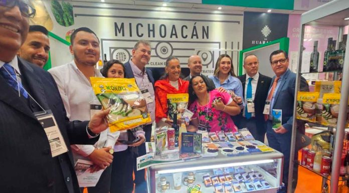 Limoneros de Michoacán buscan conquistar mercado asiático: Sedeco