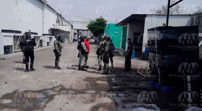 #Imágenes | SSP y Defensa continúan operaciones en favor del sector citrícola de Tierra Caliente