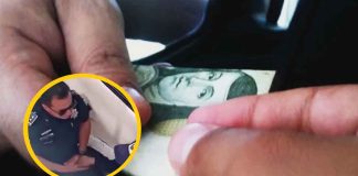 #Viral #Video | Policías de tránsito en #México son despedidos tras ser captados extorsionando a un conductor