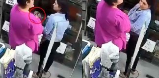 #Video | Mujeres roban dos perros pomeranian y desatan indignación en redes; los escondieron en su ropa y huyeron