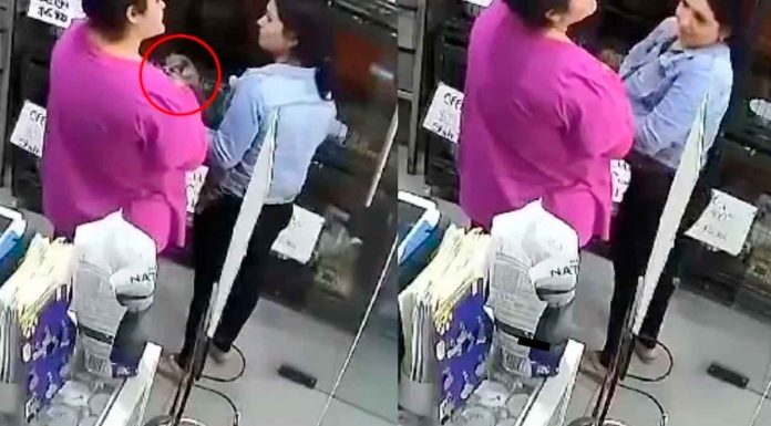 #Video | Mujeres roban dos perros pomeranian y desatan indignación en redes; los escondieron en su ropa y huyeron