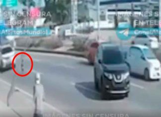 #VIDEO | Menor de edad cruza una autopista solo por descuido parental #Internacional