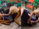 #VIDEO | Alumna es brutalmente agredida en secundaria de Veracruz ; autoridades no investigan el caso
